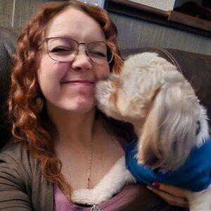 Meet your Posher, Desire'